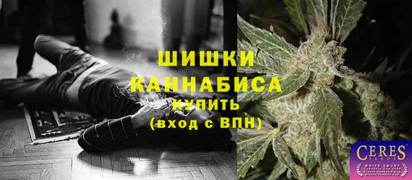 кокс Вяземский